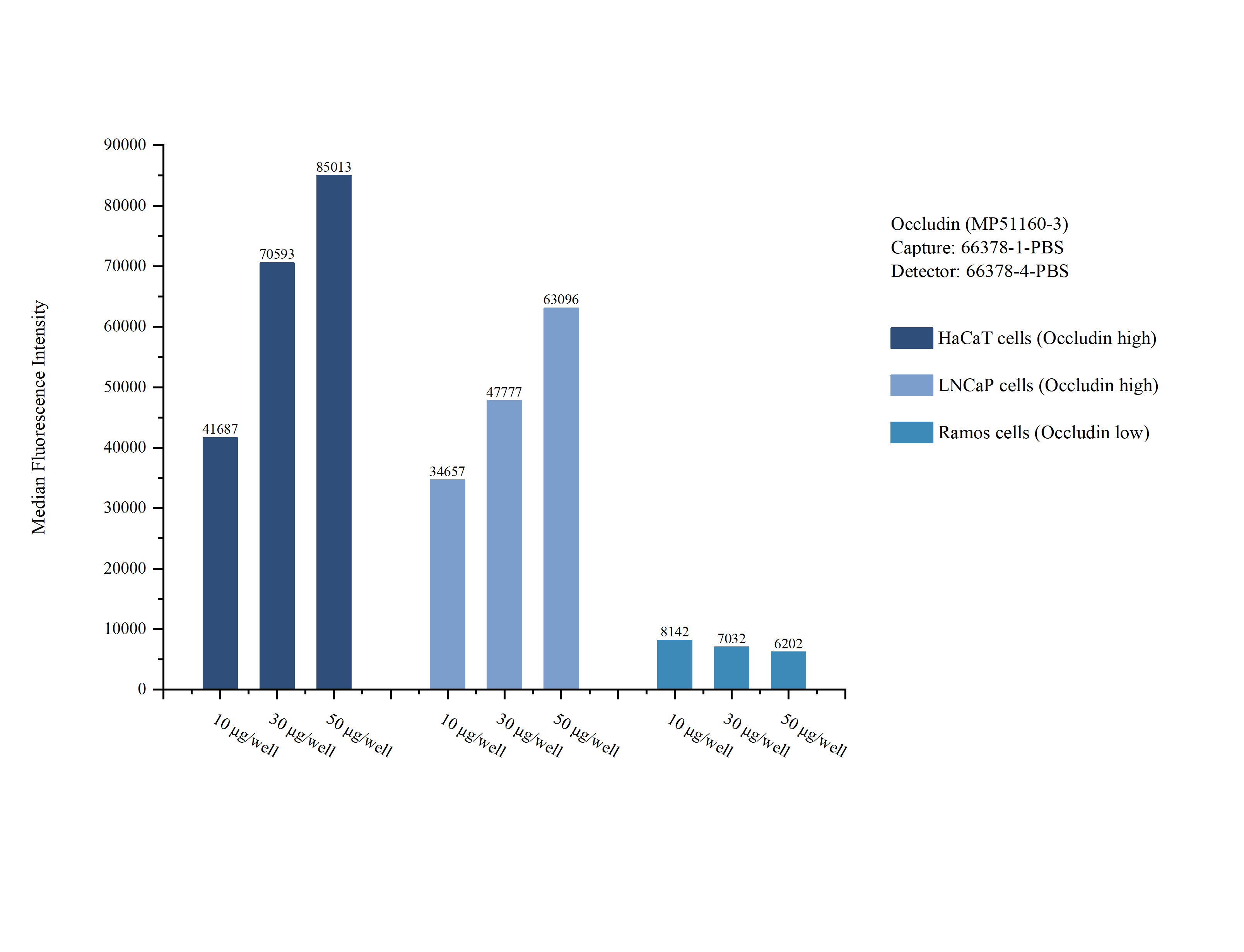 Cytometric bead array sample test of MP51160-3, Occludin Monoclonal Matched Antibody Pair, PBS Only. Capture antibody: 66378-1-PBS. Detection antibody: 66378-4-PBS. Cytometric bead array sample test of MP51160-3, Occludin Monoclonal Matched Antibody Pair, PBS Only. Capture antibody: 66378-1-PBS. Detection antibody: 66378-4-PBS.