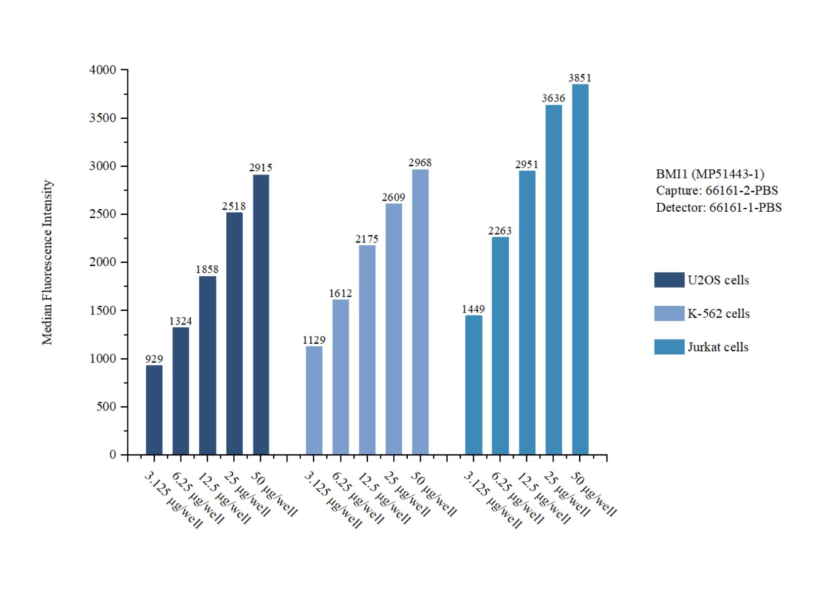 Cytometric bead array sample test of MP51443-1, BMI1 Monoclonal Matched Antibody Pair, PBS Only. Capture antibody: 66161-2-PBS. Detection antibody: 66161-1-PBS. Cytometric bead array sample test of MP51443-1, BMI1 Monoclonal Matched Antibody Pair, PBS Only. Capture antibody: 66161-2-PBS. Detection antibody: 66161-1-PBS.