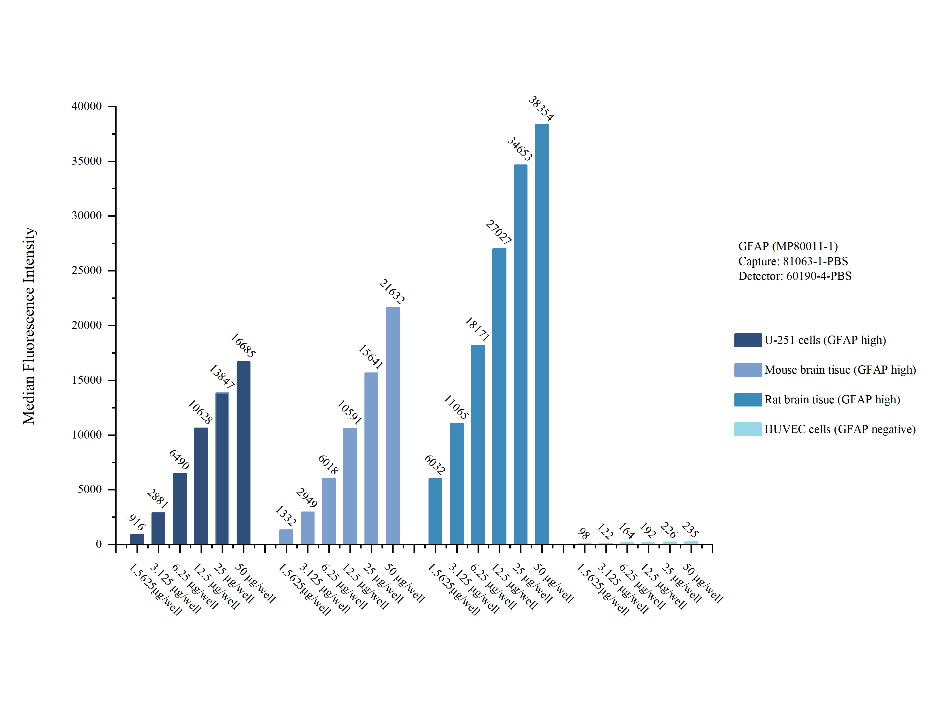 Cytometric bead array sample test of MP80011-1, GFAP Hybrid Matched Antibody Pair, PBS Only. Capture antibody: 81063-1-PBS. Detection antibody: 60190-4-PBS. Cytometric bead array sample test of MP80011-1, GFAP Hybrid Matched Antibody Pair, PBS Only. Capture antibody: 81063-1-PBS. Detection antibody: 60190-4-PBS.