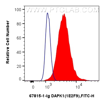 FC experiment of HCT 116 using 67815-1-Ig (same clone as 67815-1-PBS)