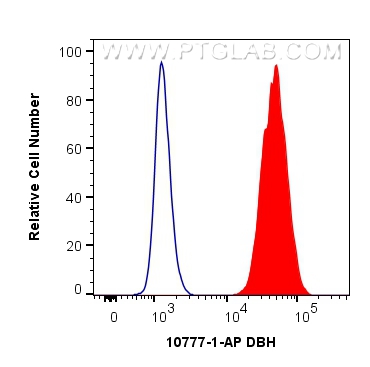 FC experiment of SH-SY5Y using 10777-1-AP