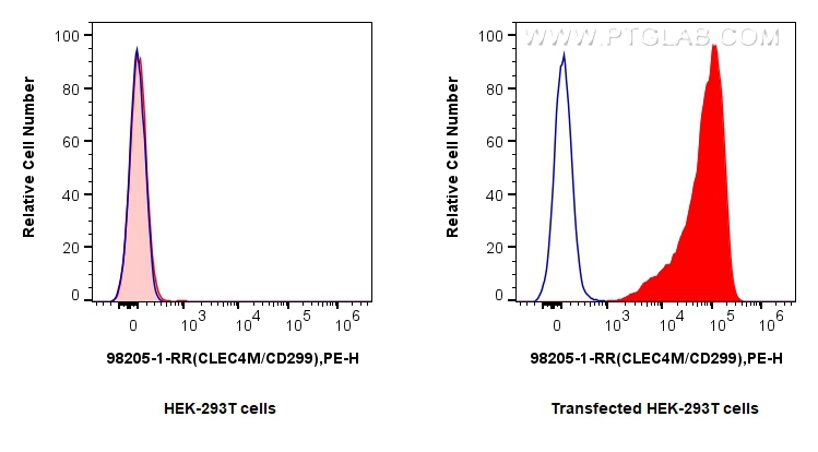 FC experiment of Transfected HEK-293T using 98205-1-RR (same clone as 98205-1-PBS)