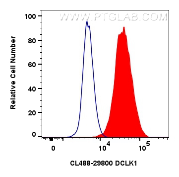 FC experiment of Neuro-2a using CL488-29800