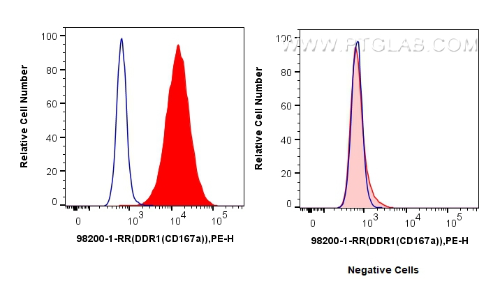 DDR1/CD167a