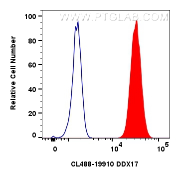 FC experiment of HEK-293 using CL488-19910