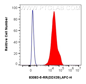 FC experiment of Jurkat using 83083-5-RR (same clone as 83083-5-PBS)