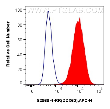 FC experiment of A431 using 82969-4-RR