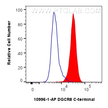 FC experiment of HeLa using 10996-1-AP