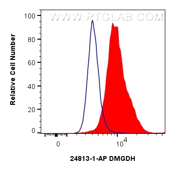 FC experiment of HepG2 using 24813-1-AP (same clone as 24813-1-PBS)