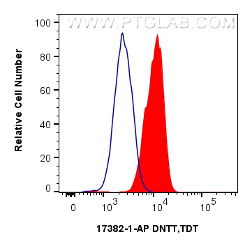 FC experiment of Jurkat using 17382-1-AP