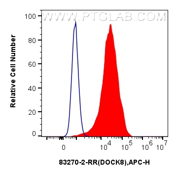 FC experiment of HeLa using 83270-2-RR (same clone as 83270-2-PBS)