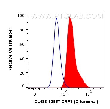 FC experiment of HeLa using CL488-12957