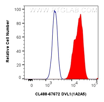 FC experiment of U2OS using CL488-67672