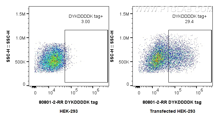 FC experiment of HEK-293T  transfected with TDP-43-flag using 80801-2-RR