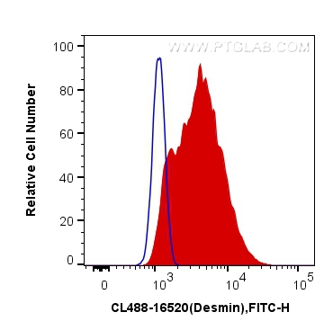 FC experiment of C2C12 using CL488-16520