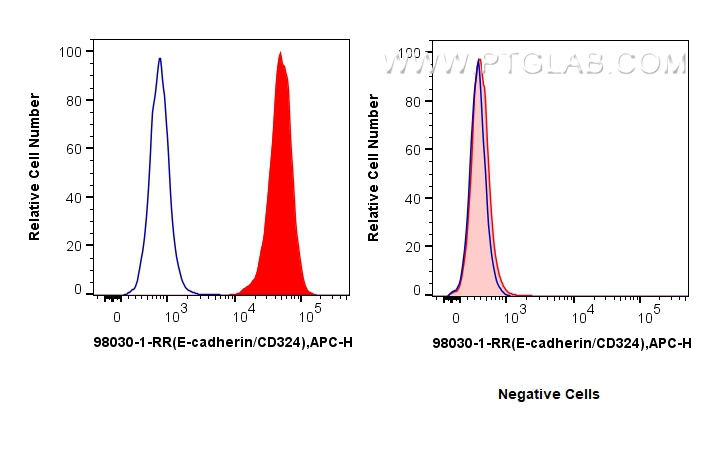 FC experiment of MCF-7 using 98030-1-RR