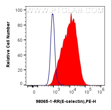 FC experiment of bEnd.3 using 98065-1-RR