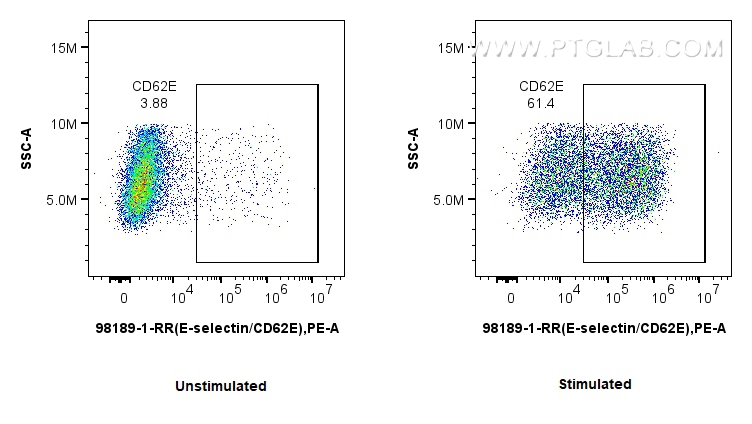 FC experiment of HUVEC using 98189-1-RR