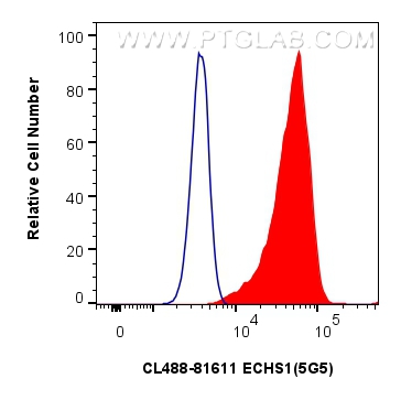 FC experiment of HeLa using CL488-81611