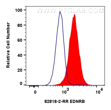 FC experiment of Raji using 82818-2-RR