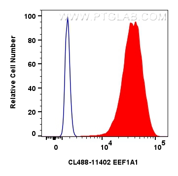 FC experiment of HeLa using CL488-11402