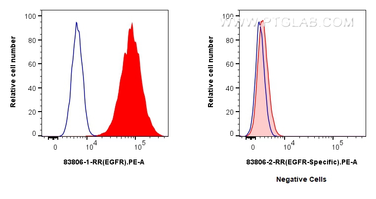 FC experiment of A431 using 83806-1-RR (same clone as 83806-1-PBS)