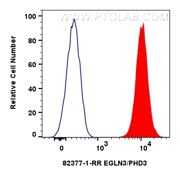 FC experiment of U2OS using 82377-1-RR