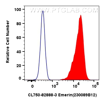 FC experiment of HEK-293T using CL750-82888-3