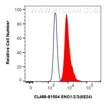 FC experiment of HepG2 using CL488-81504