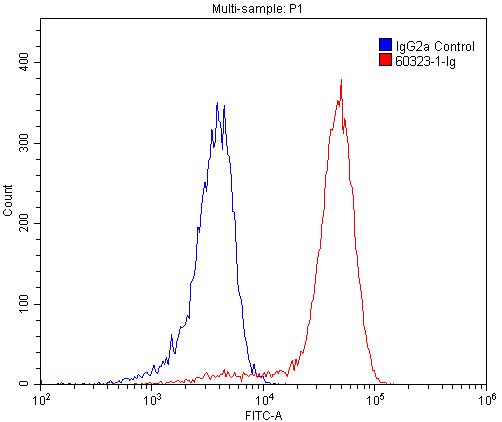 CD39/ENTPD1