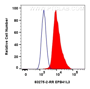 FC experiment of U2OS using 83275-2-RR