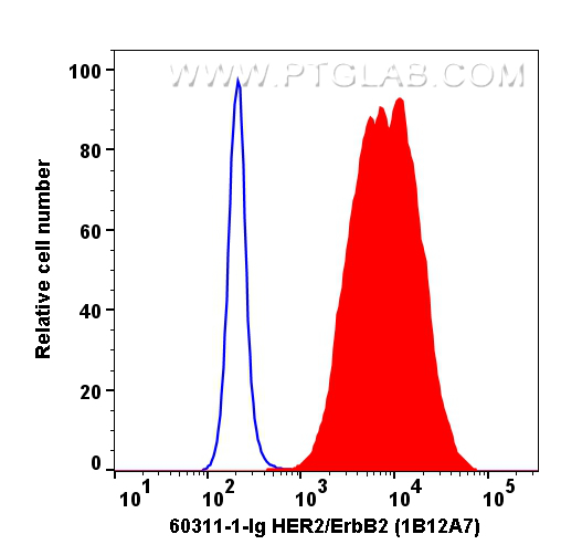 FC experiment of SK-BR-3 using 60311-1-Ig