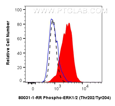 FC experiment of HepG2 using 80031-1-RR (same clone as 80031-1-PBS)