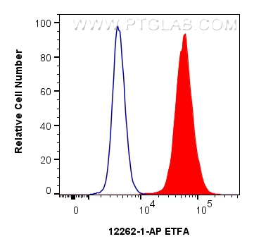 FC experiment of MCF-7 using 12262-1-AP