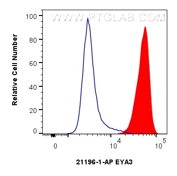 FC experiment of A431 using 21196-1-AP