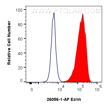 FC experiment of HeLa using 26056-1-AP