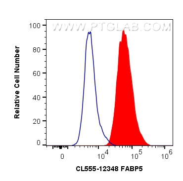 FC experiment of HeLa using CL555-12348