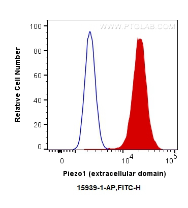 Piezo1 (extracellular domain)