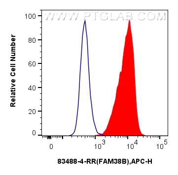 FC experiment of A431 using 83488-4-RR (same clone as 83488-4-PBS)