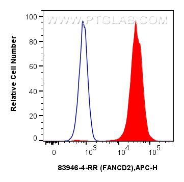 FC experiment of HeLa using 83946-4-RR