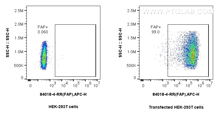 FC experiment of Transfected HEK-293T using 84018-4-RR