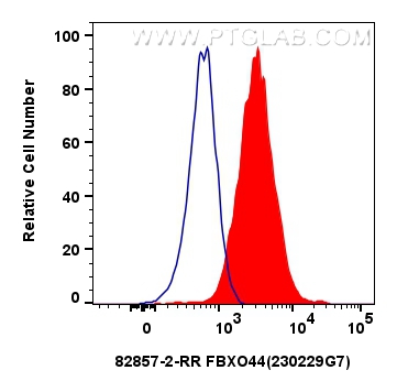 FC experiment of A431 using 82857-2-RR