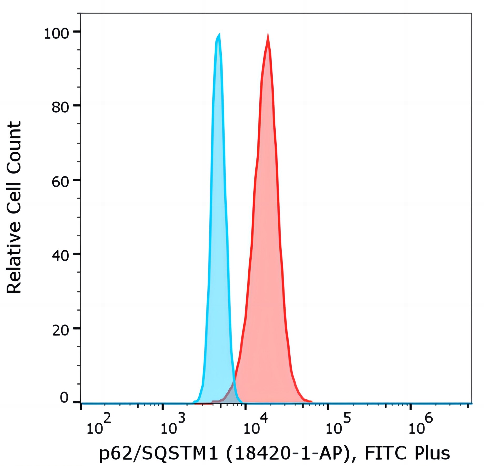 Flow cytometry of Jurkat cells. 1X10^6 Jurkat cells were intracellularly stained with anti-p62/SQSTM1 antibody (18420-1-AP) labeled with FlexAble FITC Plus Kit (KFA008, red) or with isotype control antibody labeled with FlexAble FITC Plus Kit (KFA008, cyan).