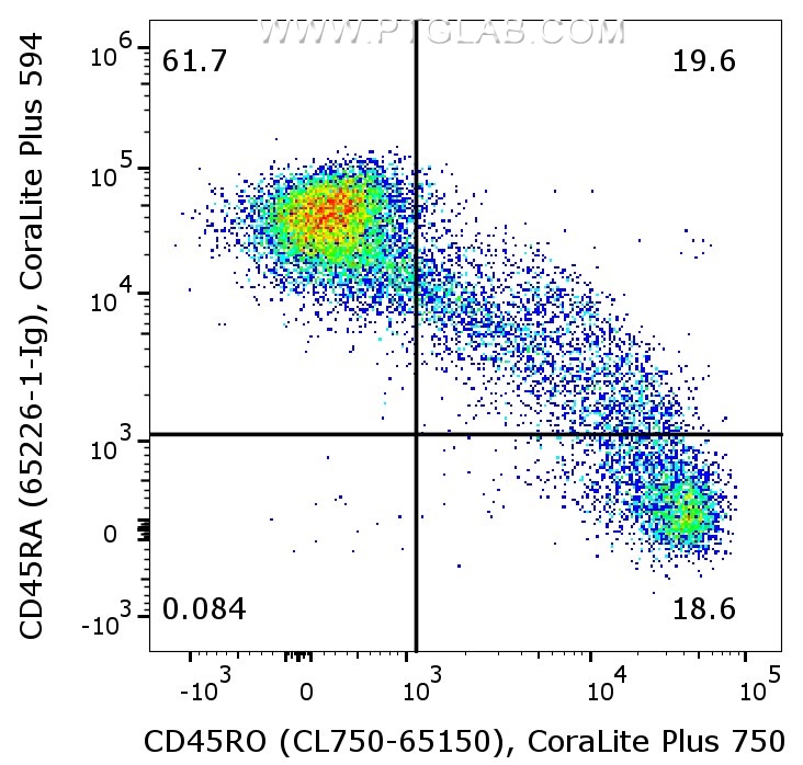 Flow cytometry of PBMCs. 1X10^6 human peripheral blood mononuclear cells (PBMCs) were stained with anti-CD45RA (clone F8-11-13, 65226-1-Ig) labeled with FlexAble CoraLite® Plus 594 Kit (KFA029) and co-stained anti-CD45RO (CL750-65150) antibody. Cells are not fixed.