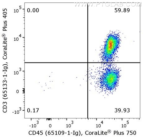 Flow cytometry of PBMC. 1X10^6 human peripheral blood mononuclear cells (PBMCs) were stained with anti-human CD45 (clone HI30, 65109-1-Ig) labeled with FlexAble CoraLite® Plus 750 Kit (KFA024) and anti-human CD3 (clone OKT3, 65133-1-Ig) labeled with FlexAble CoraLite® Plus 405 Kit (KFA046).