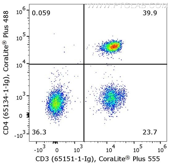 Flow cytometry of PBMC. 1X10^6 human peripheral blood mononuclear cells (PBMCs) were stained with anti-human CD3 (clone UCHT1, 65151-1-Ig) labeled with FlexAble CoraLite® Plus 555 Kit (KFA022) and anti-human CD4 (clone OKT4, 65134-1-Ig) labeled with FlexAble CoraLite® Plus 488 Kit (KFA061).​