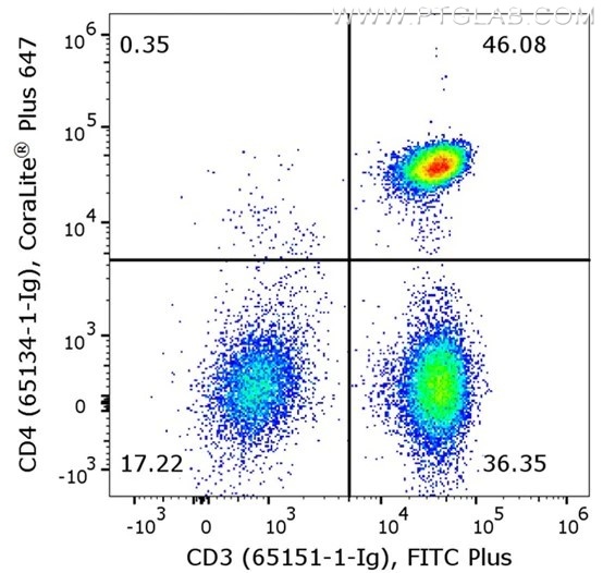 Flow cytometry of PBMC. 1X10^6 human peripheral blood mononuclear cells (PBMCs) were stained with anti-human CD3 (clone UCHT1, 65151-1-Ig) labeled with FlexAble FITC Plus Kit (KFA028) and anti-human CD4 (clone OKT4, 65134-1-Ig) labeled with FlexAble CoraLite® Plus 647 Kit (KFA063).​