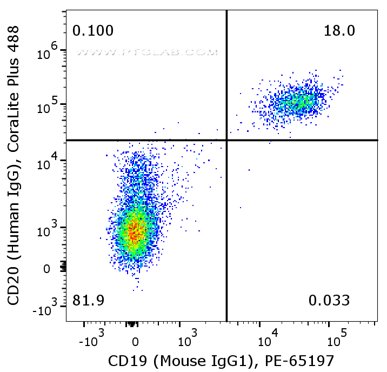 Flow cytometry of PBMC. 1X10^6 human peripheral blood mononuclear cells (PBMCs) were stained with anti-human CD20 (Human IgG1) labeled with FlexAble CoraLite® Plus 488 Kit (KFA104) and anti-human CD19 (Mouse IgG1, clone 4G7) conjugated with PE  (PE-65197).