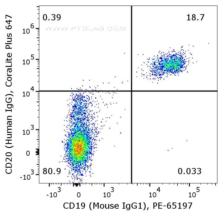 Flow cytometry of PBMC. 1X10^6 human peripheral blood mononuclear cells (PBMCs) were stained with anti-human CD20 (Human IgG1) labeled with FlexAble CoraLite® Plus 647 Kit (KFA106) and anti-human CD19 (Mouse IgG1, clone 4G7) conjugated with PE (PE-65197).