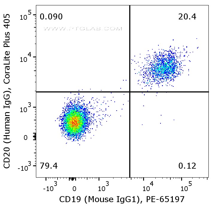 Flow cytometry of PBMC. 1X10^6 human peripheral blood mononuclear cells (PBMCs) were stained with anti-human CD20 (Human IgG1) labeled with FlexAble CoraLite® Plus 405 Kit (KFA108) and anti-human CD19 (Mouse IgG1, clone 4G7) conjugated with PE  (PE-65197).